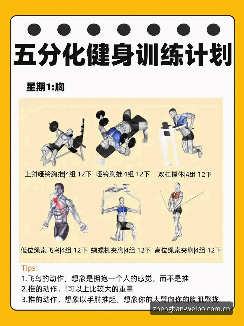 伟博体育最新版本功能详解：6个关键升级点提升你的体育互动体验